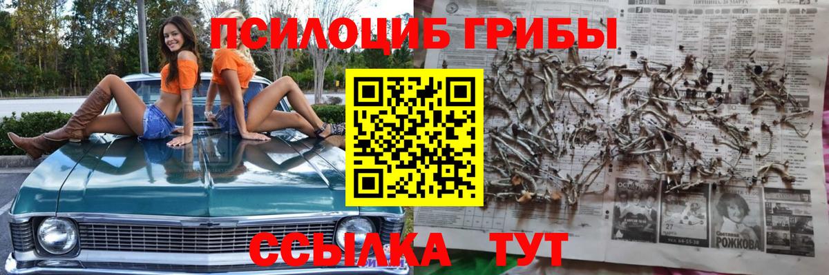 Бутурлиновка  Псилоцибиновые грибы ЛСД  Вход с VPN  Галлюциногенные грибы Cubensis 